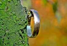 Gold vs. Platinum Rings: Which Metal is Right for You? Gold vs. Platinum Rings: Which Metal is Right for You?