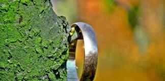 Gold vs. Platinum Rings: Which Metal is Right for You? Gold vs. Platinum Rings: Which Metal is Right for You?