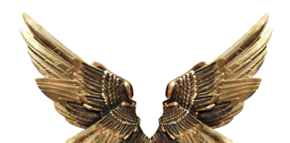 Gold vs. Silver Earrings: Which One Should You Choose? Gold vs. Silver Earrings: Which One Should You Choose?