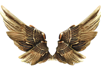 Gold vs. Silver Earrings: Which One Should You Choose? Gold vs. Silver Earrings: Which One Should You Choose?