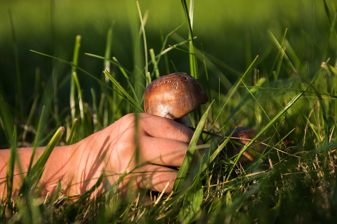 Best Practices for Collecting Gemstones