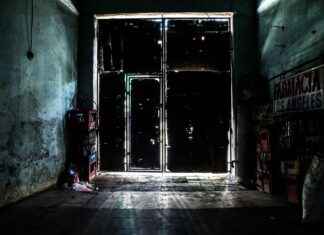 How to Organize and Store Your Earring Collection How to Organize and Store Your Earring Collection