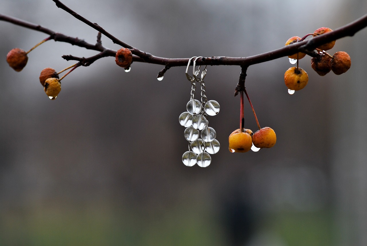 Understanding Different Earring Types