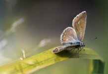 The Benefits of Wearing Copper and Magnetic Jewelry The Benefits of Wearing Copper and Magnetic Jewelry