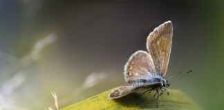 The Benefits of Wearing Copper and Magnetic Jewelry The Benefits of Wearing Copper and Magnetic Jewelry