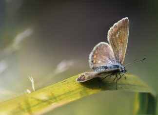 The Benefits of Wearing Copper and Magnetic Jewelry The Benefits of Wearing Copper and Magnetic Jewelry