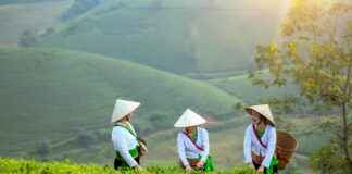 The Best Earring Styles for Women Over 40 The Best Earring Styles for Women Over 40