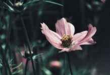 The Best Jewelry Looks from the Red Carpet The Best Jewelry Looks from the Red Carpet