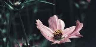 The Best Jewelry Looks from the Red Carpet The Best Jewelry Looks from the Red Carpet