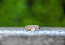 The Best Jewelry Organizers for Keeping Your Collection Neat The Best Jewelry Organizers for Keeping Your Collection Neat