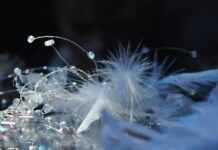 The Best Jewelry Subscription Boxes to Try The Best Jewelry Subscription Boxes to Try