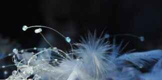 The Best Jewelry Subscription Boxes to Try The Best Jewelry Subscription Boxes to Try