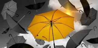 The Best Rings to Wear for Special Occasions The Best Rings to Wear for Special Occasions