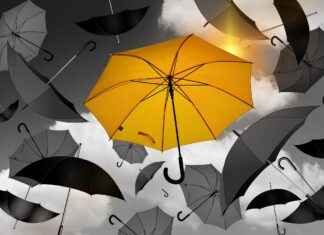 The Best Rings to Wear for Special Occasions The Best Rings to Wear for Special Occasions