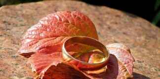 The History and Meaning Behind Wedding Bands The History and Meaning Behind Wedding Bands