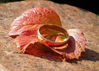 The History and Meaning Behind Wedding Bands The History and Meaning Behind Wedding Bands