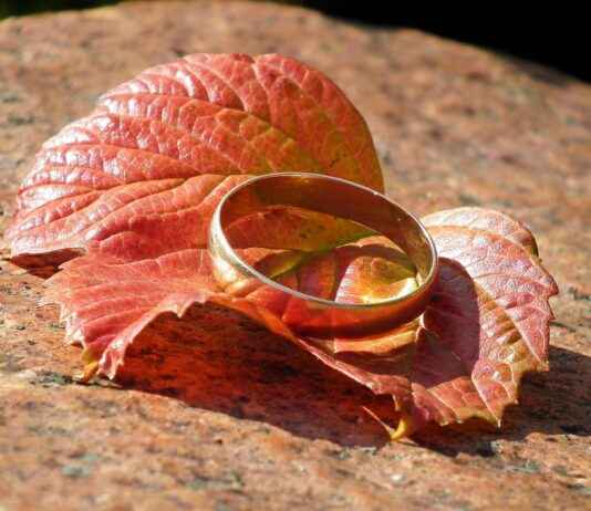 The History and Meaning Behind Wedding Bands The History and Meaning Behind Wedding Bands