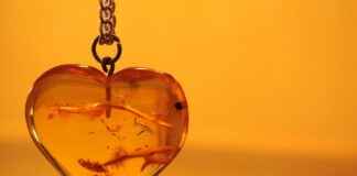 The Most Popular Necklace Styles for Women The Most Popular Necklace Styles for Women