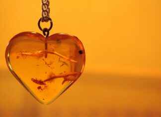 The Most Popular Necklace Styles for Women The Most Popular Necklace Styles for Women