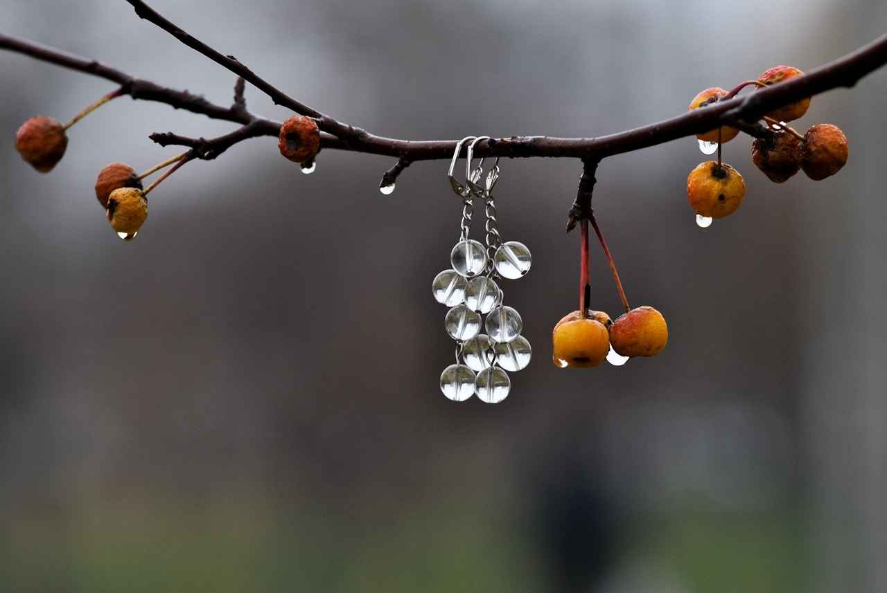 Understanding Different Earring Types