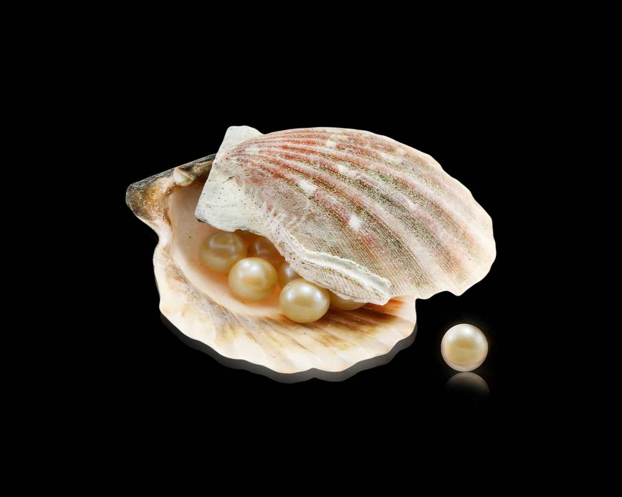 The Elegance of Pearl Necklaces: A Must-Have for Every Jewelry Lover