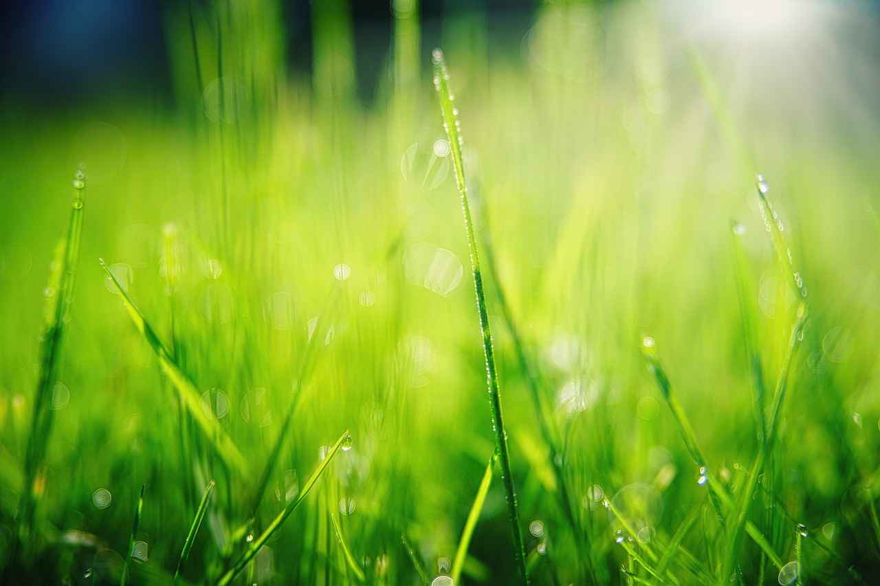 The Legendary Hope Diamond