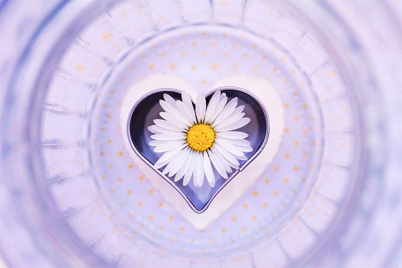 The Meaning of the Heart Symbol